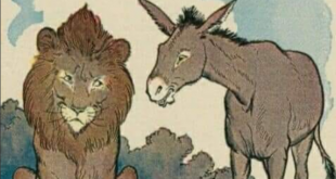 No discutas con burros (fabula)